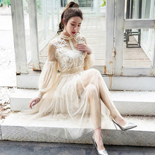 Load image into Gallery viewer, 2019 New Women Fashion Dress Stand Collar Lantern Sleeve Mesh Dress See-through Lace Embroidery Fairy Dress Femme Vestidos Robe